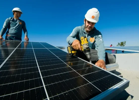 Energia limpa sem segredo: pequena fábrica de massas vira exemplo de sustentabilidade | ASN Nacional