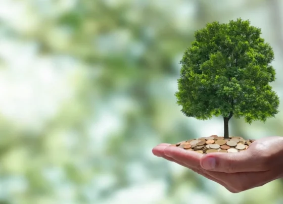 Estande do Sebrae na ABF Expo neutraliza emissões de carbono e reafirma compromisso ambiental | ASN Nacional