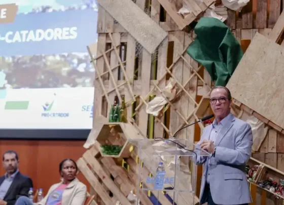 Expansão nacional: Sebrae projeta catadores como protagonistas do empreendedorismo verde | ASN Nacional