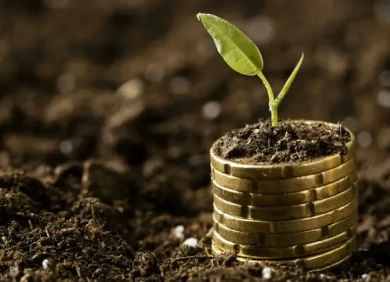 Financiamento dos pequenos negócios: oportunidade verde e sustentável rumo à COP30 | ASN Nacional