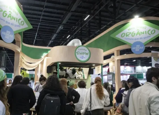 Inovação e sustentabilidade: empreendedores conquistam mercados na maior feira de produtos naturais | ASN Nacional