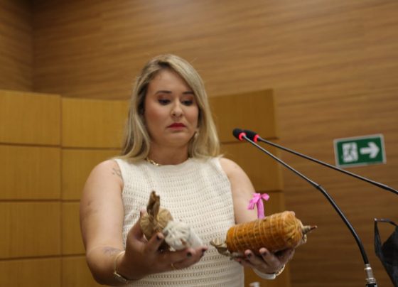 Kitty Lima denuncia venda ilegal de fogos de artifício e cobra fiscalização