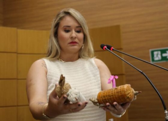 Kitty Lima denuncia venda ilegal de fogos de artifício e cobra fiscalização – Portal Imprensa 1