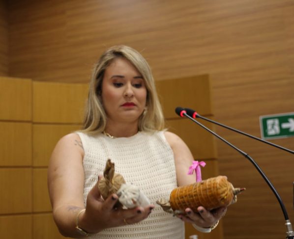 Kitty Lima denuncia venda ilegal de fogos de artifício e cobra fiscalização