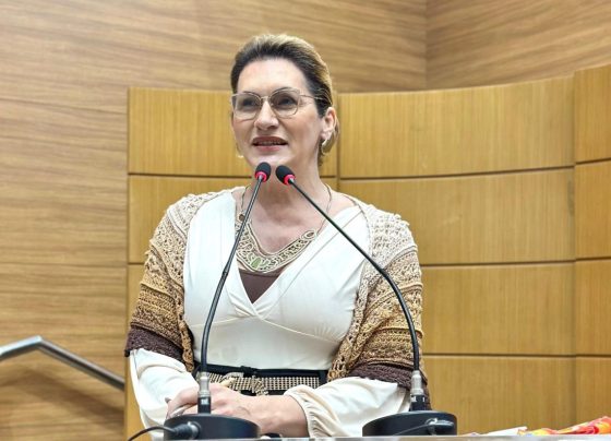 Linda Brasil denuncia precarização do trabalho de cuidadoras nas creches – FaxAju