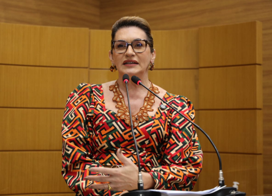 Linda Brasil reforça demandas por responsabilidade ambiental, respeito aos concursados e políticas eficazes