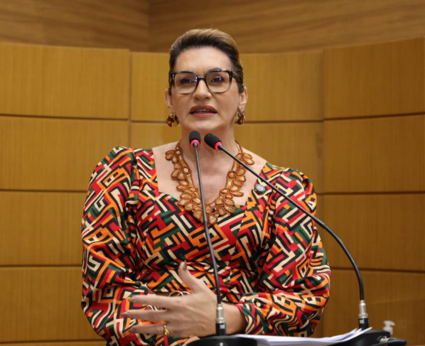 Linda Brasil reforça demandas por responsabilidade ambiental, respeito aos concursados e políticas eficazes