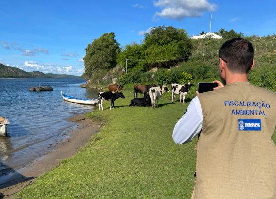 PL aprovado na Alese institui Semana do Meio Ambiente