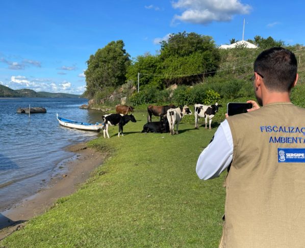 PL aprovado na Alese institui Semana do Meio Ambiente