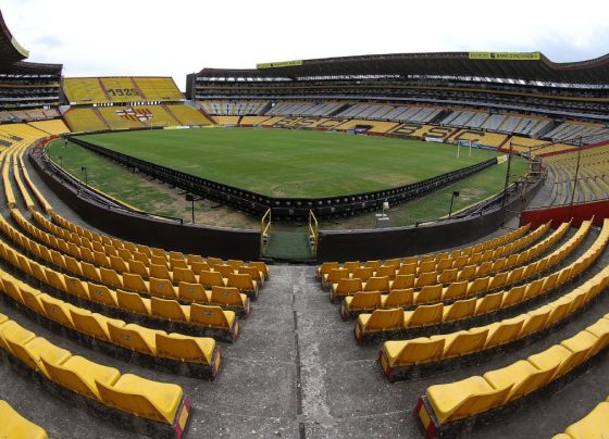 Por que Equador x Brasil não estará lotado para estreia de Ancelotti
