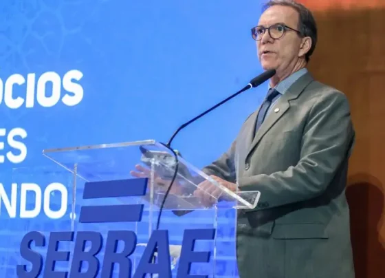 Sabem se virar e buscar o próprio sustento | ASN Nacional