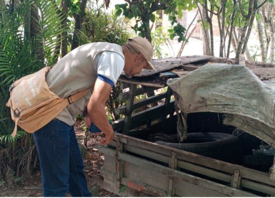 Itaporanga d’Ajuda registra médio risco para proliferação do Aedes aegypti e intensifica ações de combate ao mosquito