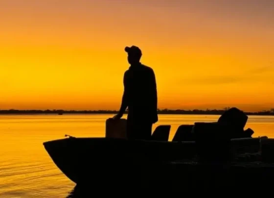 Visit Brasil coloca belezas de MT na rota do turismo internacional durante FIT Pantanal | ASN Nacional