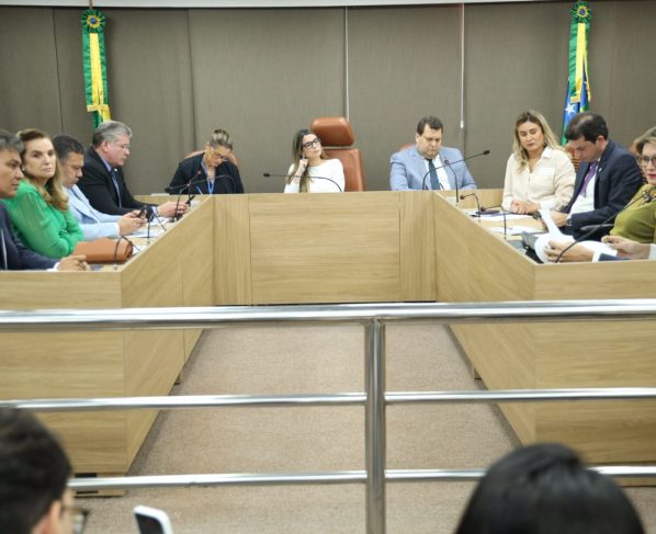 1º Quadrimestre: SES apresenta contas aos deputados da Alese