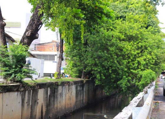 APÓS QUEDA DE ÁRVORES, PMA REÚNE TÉCNICOS E PLANEJA MELHORIAS NO CANAL DA AVENIDA FRANCISCO MOREIRA – FaxAju
