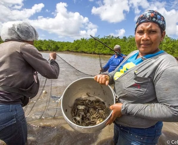 Agora é Lei: Sergipe institui o ´Dia Estadual da Mulher Marisqueira´