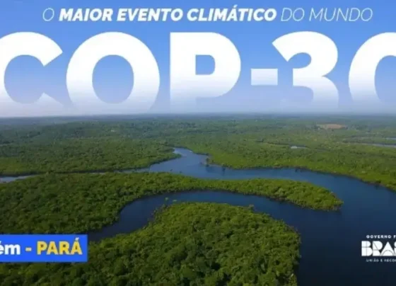 Aprenda a diferença entre mitigação climática e emissões líquidas zero | ASN Nacional
