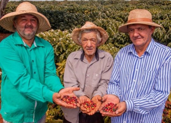 Café de Mandaguari (PR) é reconhecido com Indicação Geográfica | ASN Nacional