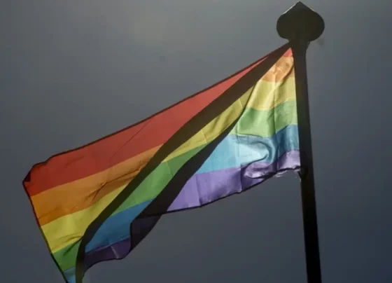 Digitalização: comunidade LGBTQI+ se destaca no uso de tecnologia e Inteligência Artificial nos negócios | ASN Nacional