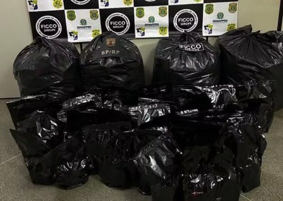FICCO/SE apreende 110 kg de maconha em Frei Paulo