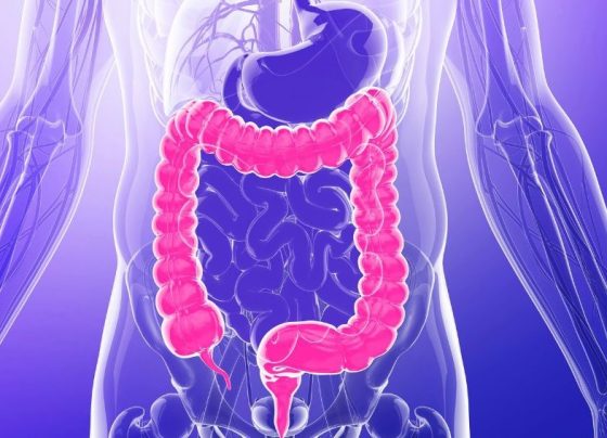 Governo Federal sanciona Lei que cria Política Nacional sobre Doenças Inflamatórias Intestinais