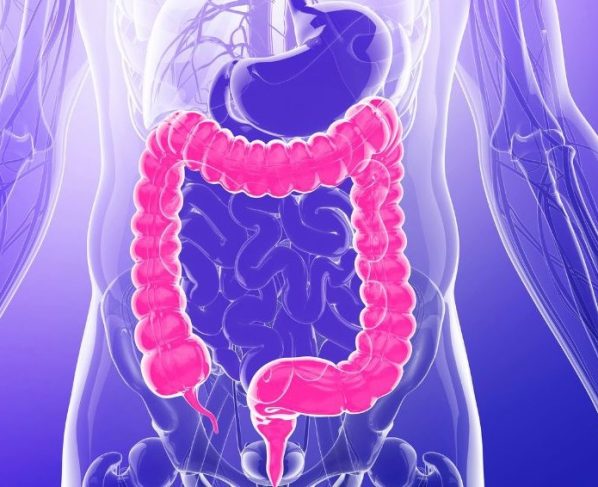 Governo Federal sanciona Lei que cria Política Nacional sobre Doenças Inflamatórias Intestinais