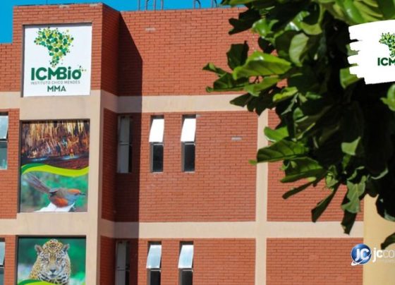 ICMBio abre processo seletivo com vagas no Rio para quem tem ensino fundamental incompleto