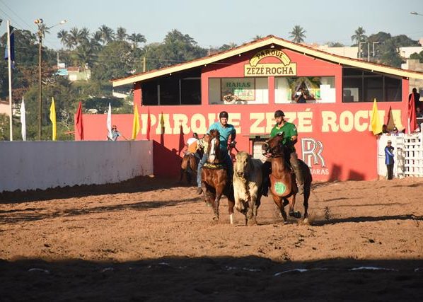 Lei declara a Pega de Boi no Mato, a Cavalgada e a Vaquejada como esportes e manifestações culturais