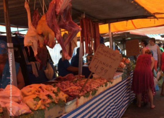 MPSE obtém liminar para coibir comércio irregular de produtos alimentícios nas feiras livres em Aracaju – FaxAju