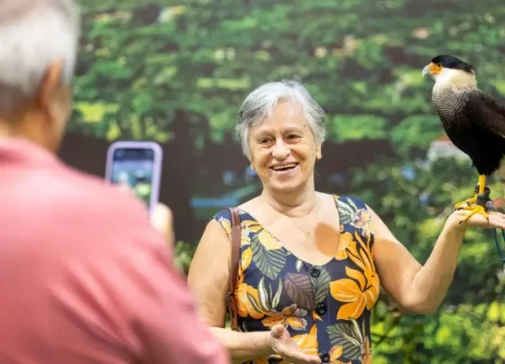Os espaços para empreendedores locais são destaques na Viva Sergipe | ASN Sergipe