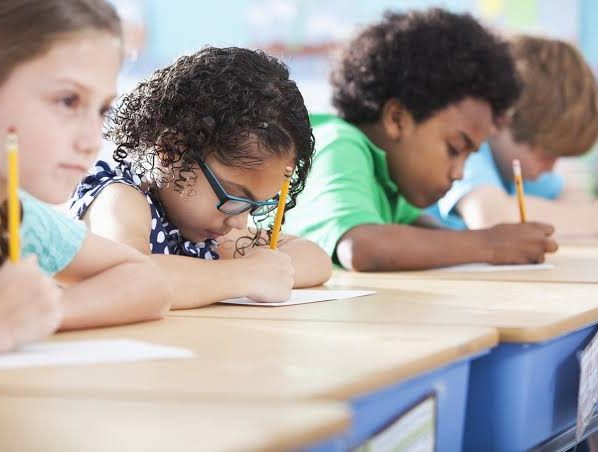 PL que incentiva conscientização sobre identificação de doenças raras em estudantes é aprovada na Alese