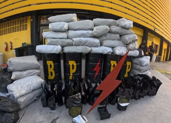 Polícia Militar apreende mais de 290 kg de maconha na Zona Sul da capital – P.M.S.E.