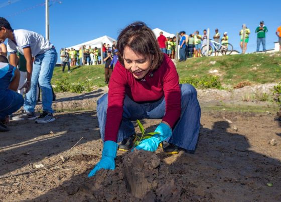 Prefeita Emília Corrêa participa de plantio inédito de mudas de mangue em Aracaju – FaxAju