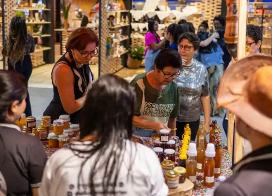 Primeiro dia da Feira Viva Sergipe tem celebração da cultura local, inovação e valorização dos pequenos negócios | ASN Sergipe