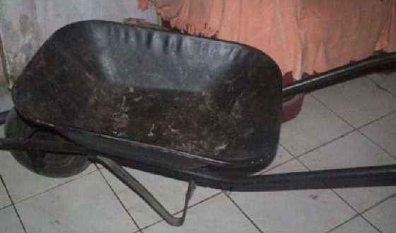 Suspeito confessa feminicídio em Riachuelo; perícia confirma sangue em carrinho de mão usado para ocultar corpo