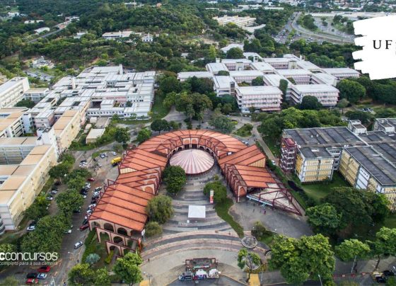 UFMG abre seleção com salários de até R$ 8 mil; inscrições só vão até o fim de julho