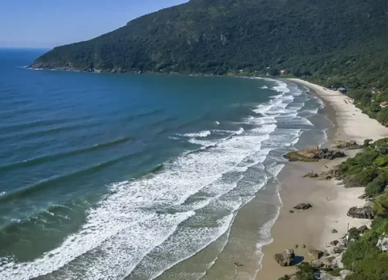 AVISO DE PAUTA Embratur e Sebrae convidam trade catarinense para debater estratégias para fortalecer turismo | ASN Nacional