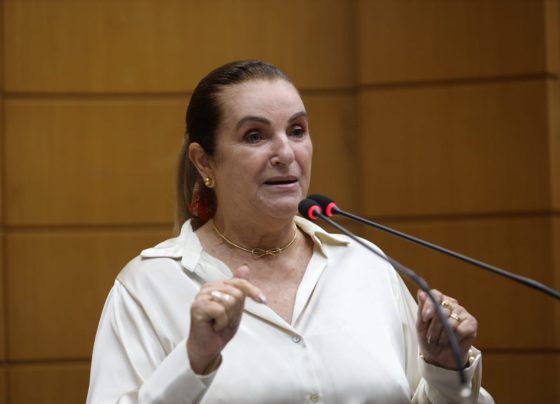 Áurea Ribeiro destaca importância de projetos sociais