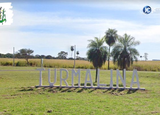Concurso da Câmara de Turmalina SP abre 2 vagas para níveis fundamental e médio