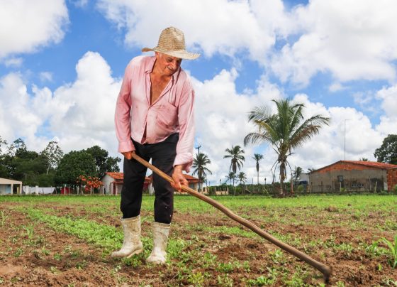 Dia Estadual do Produtor Rural é celebrado em 8 de agosto