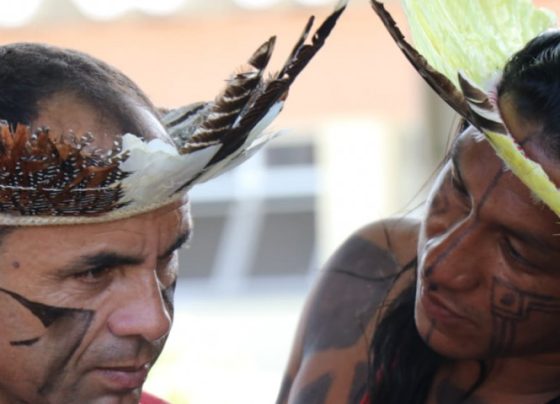 Lei aprovada na Alese institui o Agosto Indígena