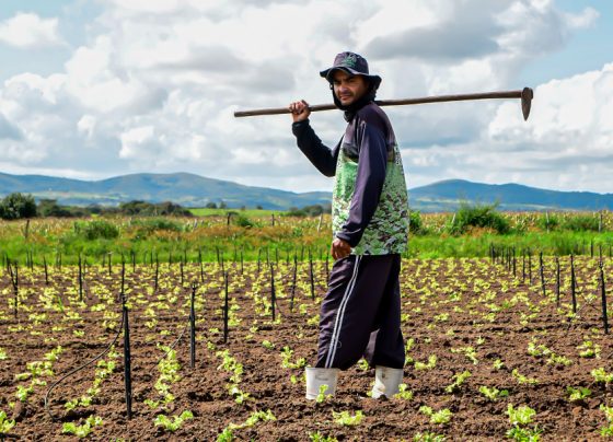Lei institui a Semana Estadual do Campo Limpo e Sustentável