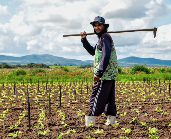 Lei institui a Semana Estadual do Campo Limpo e Sustentável