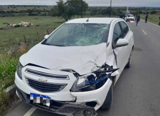 Motociclista e passageira morrem após colisão na rodovia SE-290