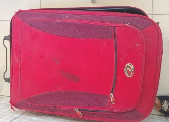 Polícia prende suspeito de matar cadela e colocar corpo em mala em SE