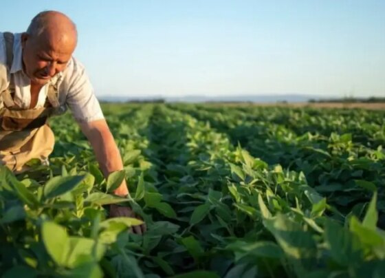Quer inovação para a sua propriedade rural? Saiba como o Sebrae pode te apoiar | ASN Nacional