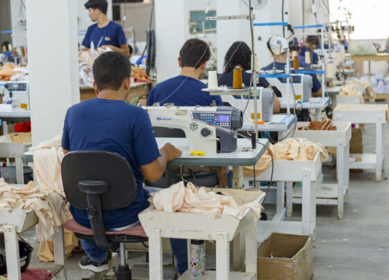Sebrae abre inscrições para programas de inovação ALI Produtividade e ALI Rural | ASN Sergipe