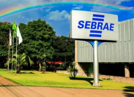 Sebrae conquista 7ª posição no Brand Momentum Index (BMI) 2025, consolidando liderança em educação no Brasil | ASN Nacional