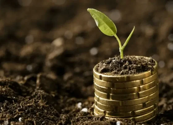 Sebrae lança guia inédito para crédito verde destinado a pequenos negócios | ASN Nacional
