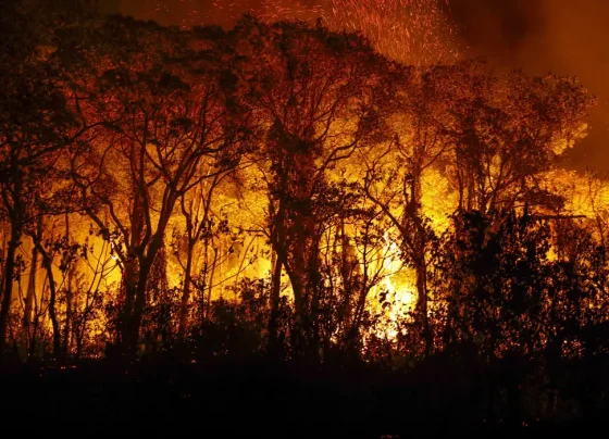 Sergipe institui “Agosto Cinza” para conscientização e combate a incêndios e queimadas